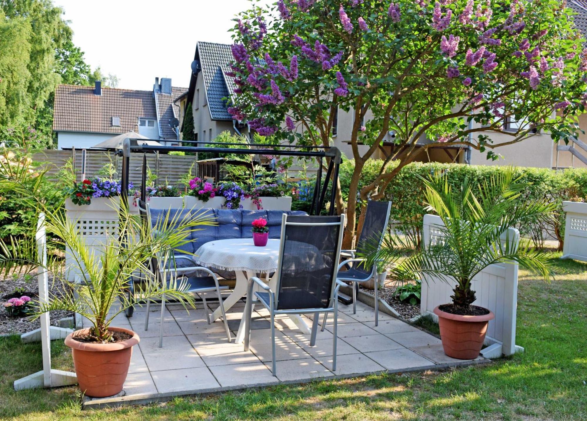 Ferienwohnung Zur Baaber Heide Ngoại thất bức ảnh